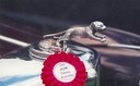 Desmo Cat