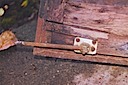 Dry Rot