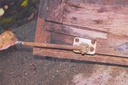 Dry Rot